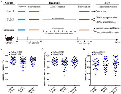 miRNA and mRNA Profiles in Ventral Tegmental Area From Juvenile Mice With Companion Communication of Improving CUMS-Induced Depression-Like Behaviors